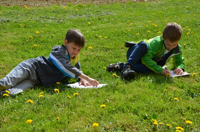 Naturstudie „Löwenzahn“ 2b Klasse