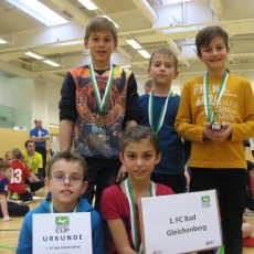 Volksschulcup 2015/16 in der Arena in Feldbach