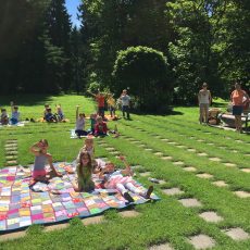 Picknick im Grünen