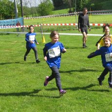 Der 7. Wald- und Wiesenlauf